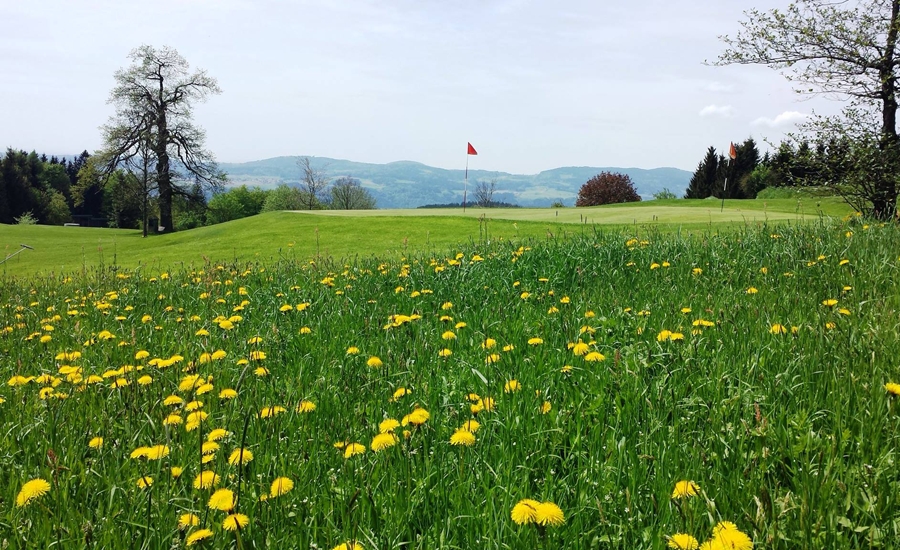 Golfclub Pfarrkirchen